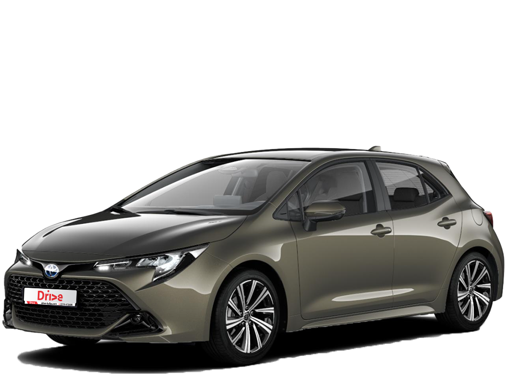 Hatchback Active Plus Hybrid Auto